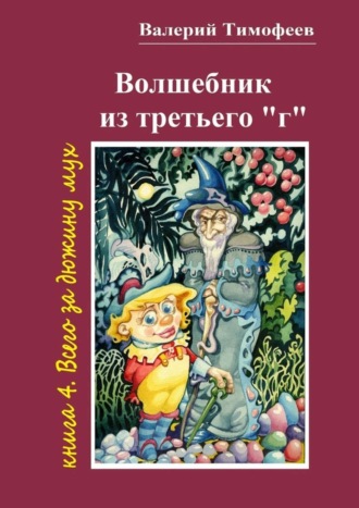 Обложка книги «Волшебник из третьего «г». Книга 4. Всего за дюжину мух»