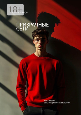 Обложка книги «Призрачные сети»