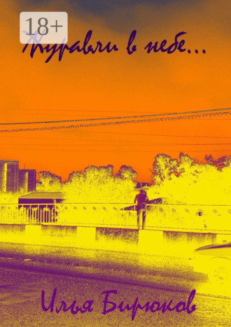 Обложка книги «Журавли в небе…»