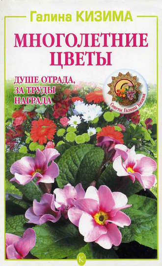 Обложка книги «Многолетние цветы. Душе отрада, за труды награда»