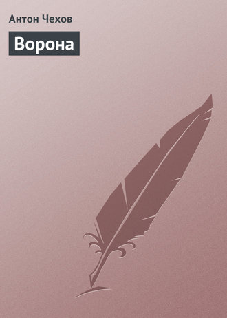 Обложка книги «Ворона»