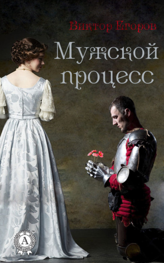 Обложка книги «Мужской процесс»