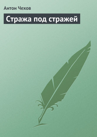 Обложка книги «Стража под стражей»