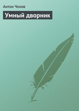 Обложка книги «Умный дворник»