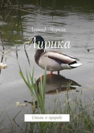 Обложка книги «Лирика. Стихи о природе»