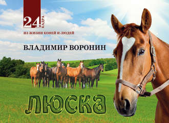 Обложка книги «Люска»