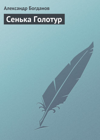 Обложка книги «Сенька Голотур»