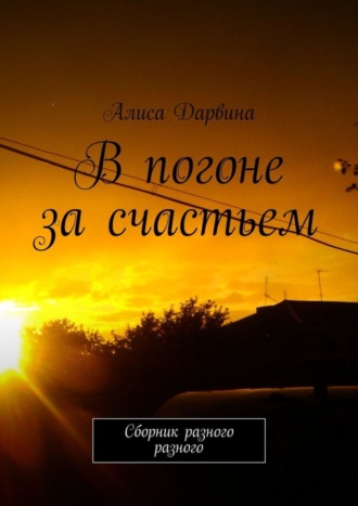 Обложка книги «В погоне за счастьем. Сборник разного разного»