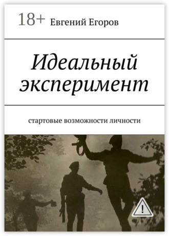 Обложка книги «Идеальный эксперимент. Стартовые возможности личности»