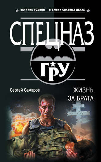 Обложка книги «Жизнь за брата»