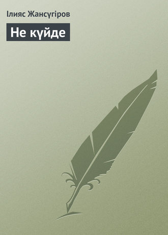 Обложка книги «Не күйде»