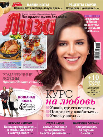 Обложка книги «Журнал «Лиза» №04/2017»