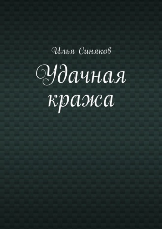 Илья Синяков. Удачная кража