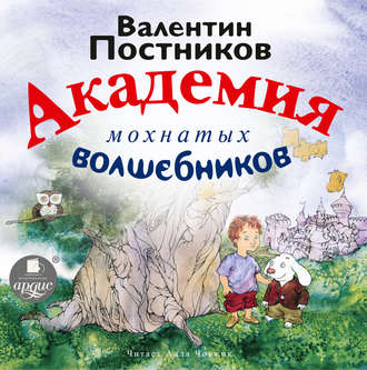 Обложка книги «Академия мохнатых волшебников»