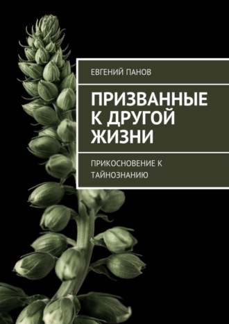 Евгений Панов. Призванные к другой жизни. Прикосновение к тайнознанию