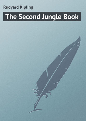 Обложка книги «The Second Jungle Book»