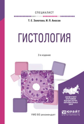 Татьяна Евгеньевна Золотова. Гистология 2-е изд., испр. и доп. Учебное пособие для вузов