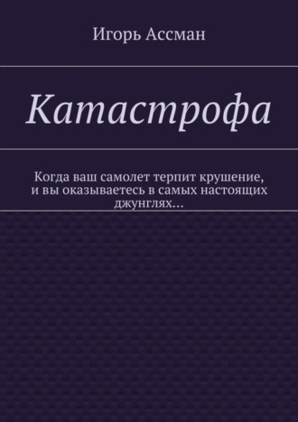 Игорь Ассман. Катастрофа