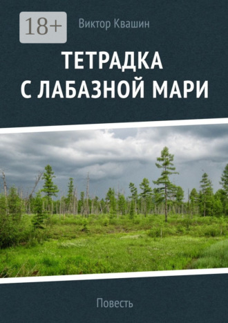 Обложка книги «Тетрадка с лабазной мари»