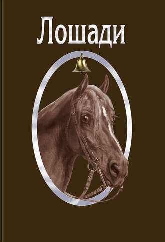 Обложка книги «Лошади»