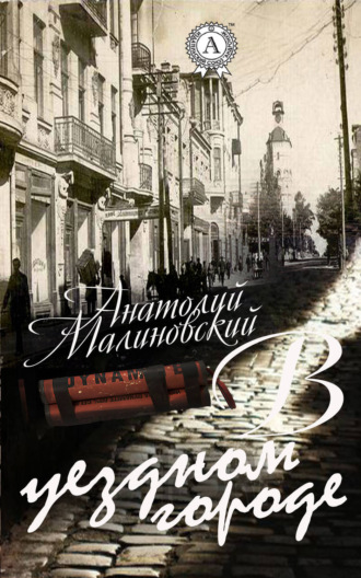 Обложка книги «В уездном городе»