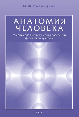 М. Ф. Иваницкий. Анатомия человека (с основами динамической и спортивной морфологии). Учебник для институтов физической культуры