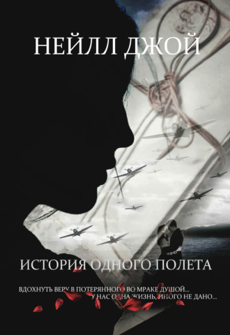 Нейлл Джой. История одного полета