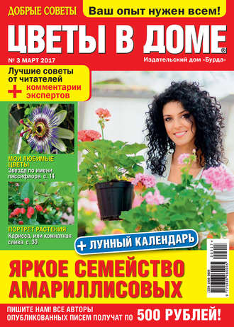 Обложка книги «Добрые советы. Цветы в доме. №03/2017»