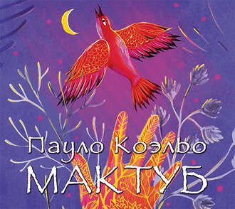Обложка книги «Мактуб»