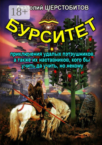 Обложка книги «Бурситет. Приключения удалых пэтэушников, а также их наставников, кого бы учить да учить, но некому»
