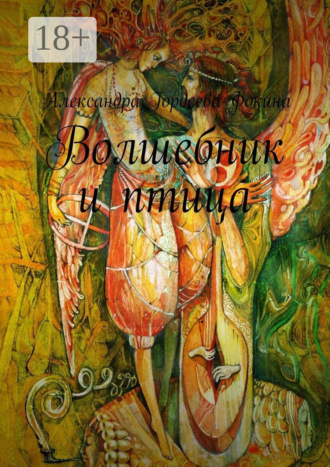 Обложка книги «Волшебник и птица»