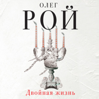 Обложка книги «Двойная жизнь»