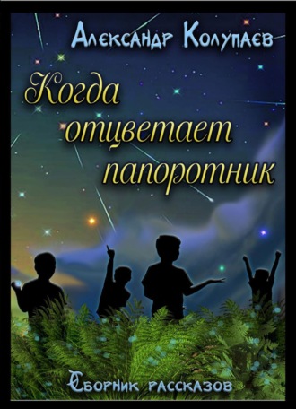 Обложка книги «Когда отцветет папоротник»