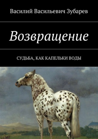 Обложка книги «Возвращение. Судьба, как капельки воды»