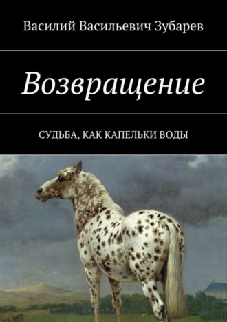 Василий Васильевич Зубарев. Возвращение. Судьба, как капельки воды