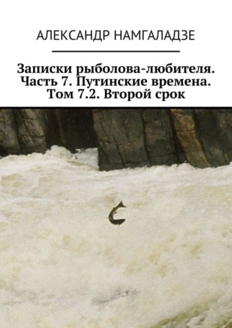 Александр Намгаладзе. Записки рыболова-любителя. Часть 7. Путинские времена. Том 7.2. Второй срок