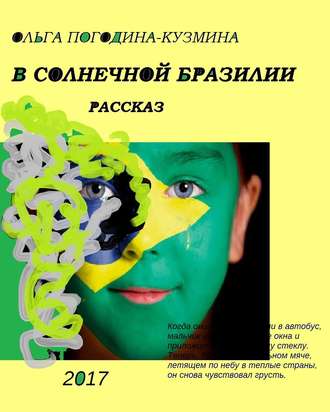 Обложка книги «В солнечной Бразилии»
