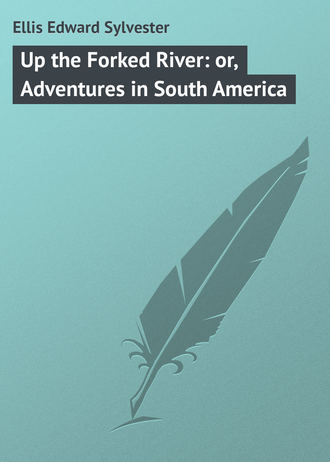 Обложка книги «Up the Forked River: or, Adventures in South America»