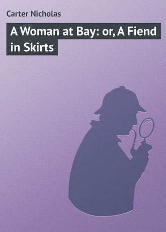 Обложка книги «A Woman at Bay: or, A Fiend in Skirts»