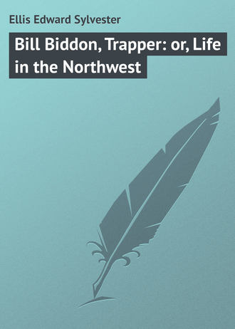 Обложка книги «Bill Biddon, Trapper: or, Life in the Northwest»