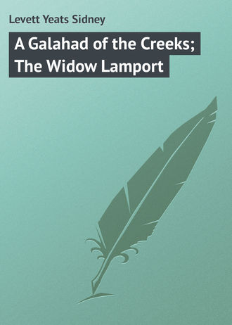 Обложка книги «A Galahad of the Creeks; The Widow Lamport»