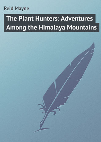 Обложка книги «The Plant Hunters: Adventures Among the Himalaya Mountains»