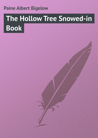 Обложка книги «The Hollow Tree Snowed-in Book»