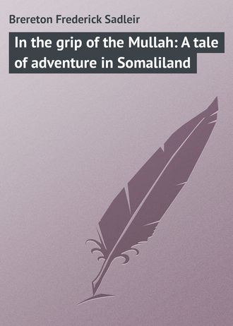 Обложка книги «In the grip of the Mullah: A tale of adventure in Somaliland»