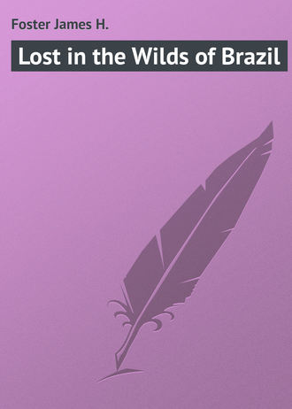 Обложка книги «Lost in the Wilds of Brazil»