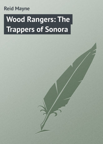 Обложка книги «Wood Rangers: The Trappers of Sonora»