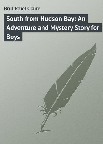 Brill Ethel Claire. South from Hudson Bay: An Adventure and Mystery Story for Boys