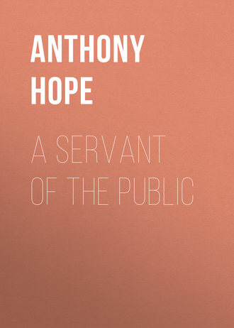 Обложка книги «A Servant of the Public»