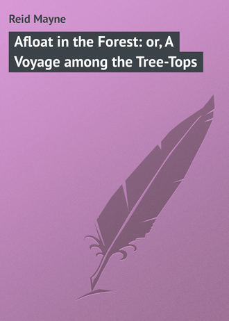Обложка книги «Afloat in the Forest: or, A Voyage among the Tree-Tops»