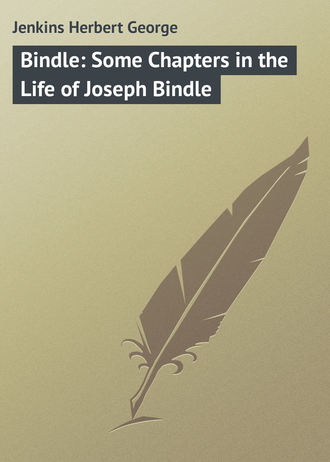 Обложка книги «Bindle: Some Chapters in the Life of Joseph Bindle»